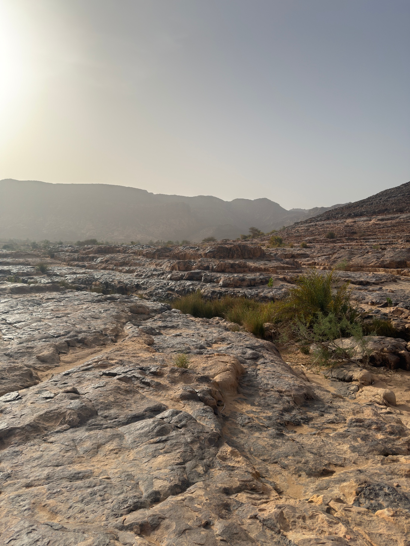 Étendue rocheuse du Grand Sud algérien au coucher du soleil
