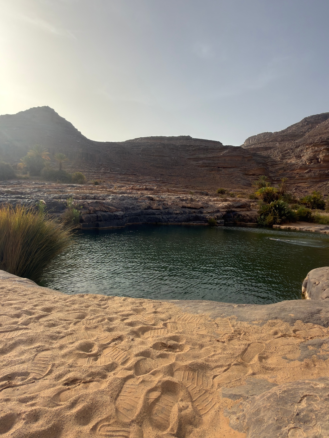 Guelta bordée de sable et de palmiers, empreintes fraîches