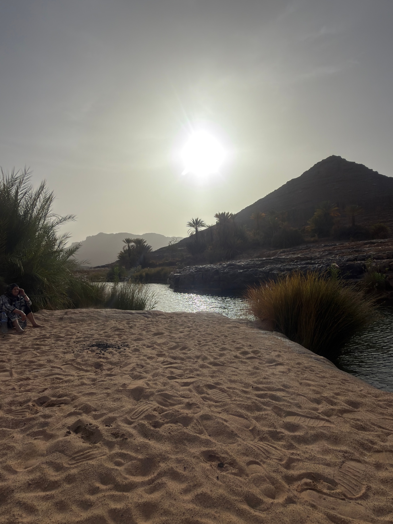 Oasis, palmiers et eau au soleil couchant