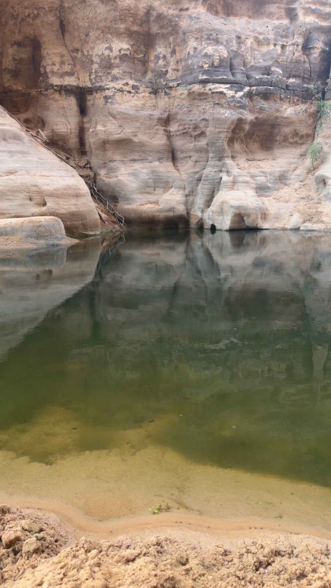 Guelta cachée aux reflets verts au pied d’une paroi de grès
