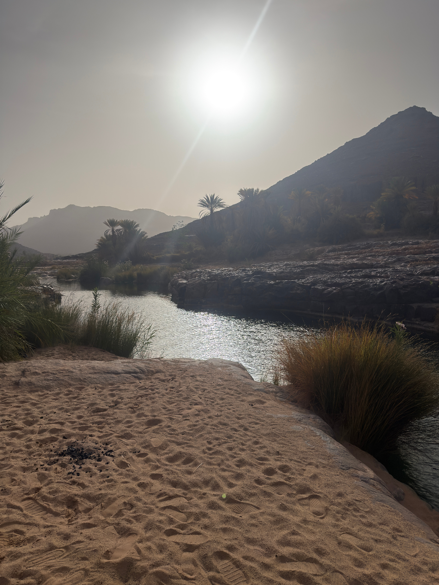 Oasis d’Ihrir, guelta et palmiers reflétés dans l’eau