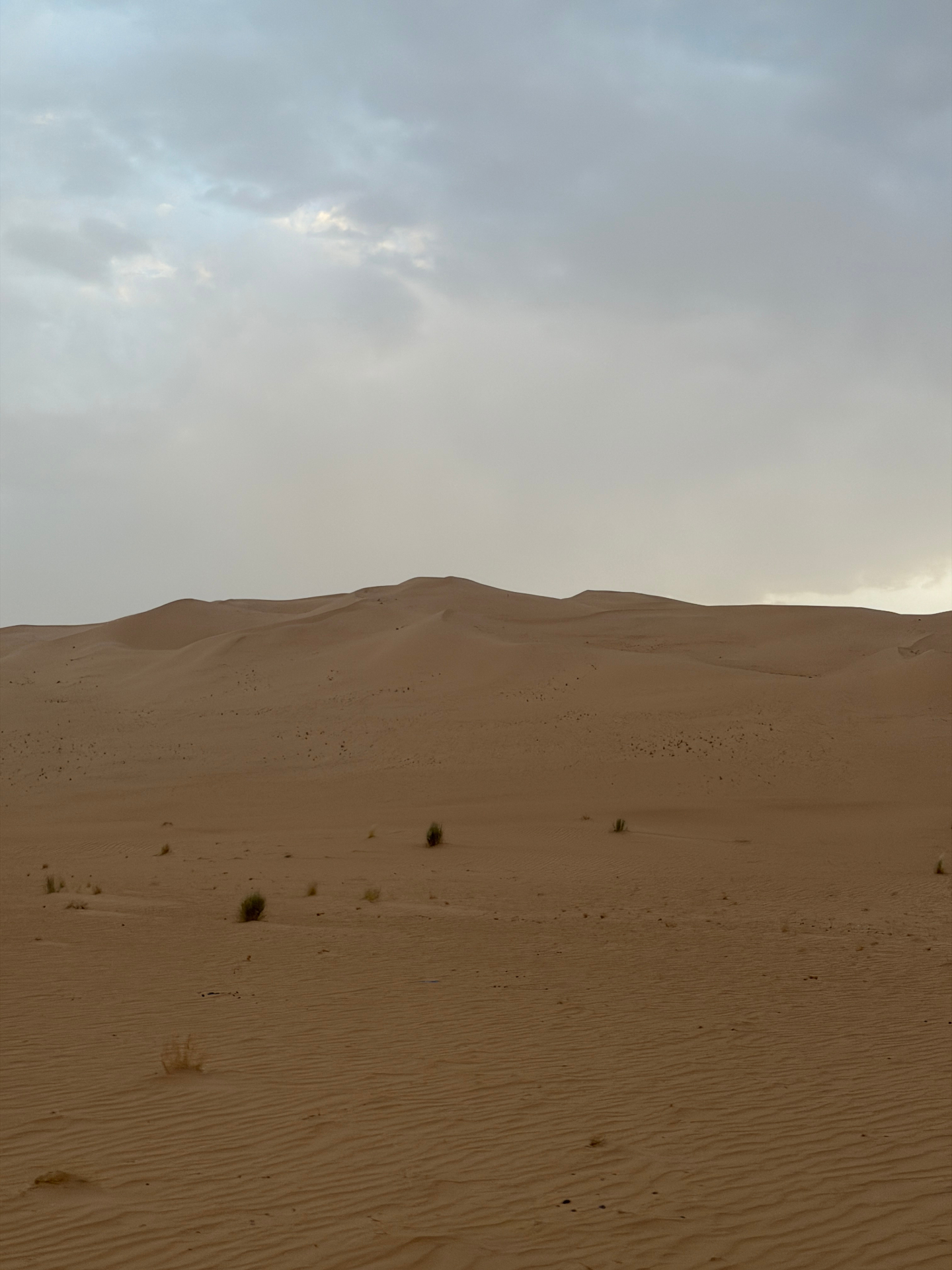 Ondulations de sable à l'aube