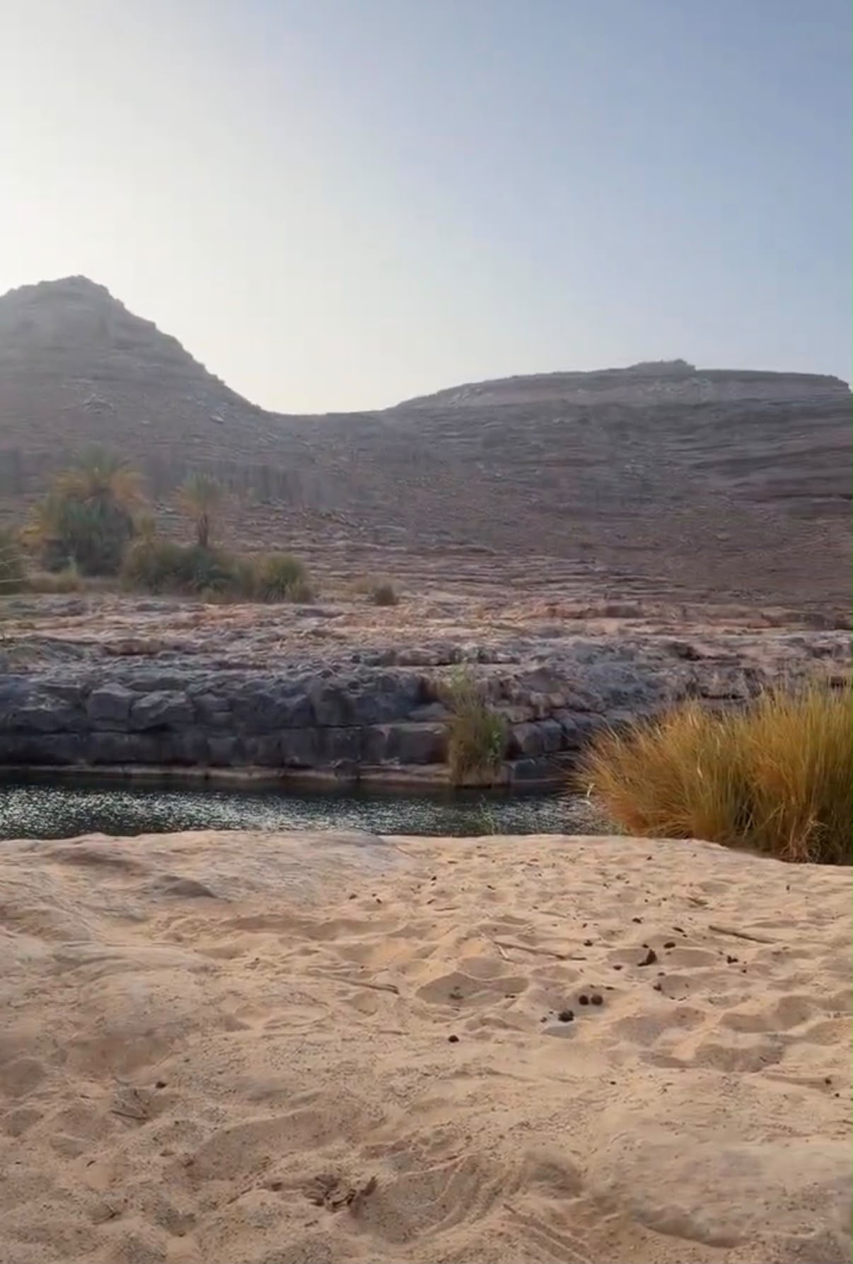 Oasis cachée du Tassili, palmiers reflétés dans l’eau
